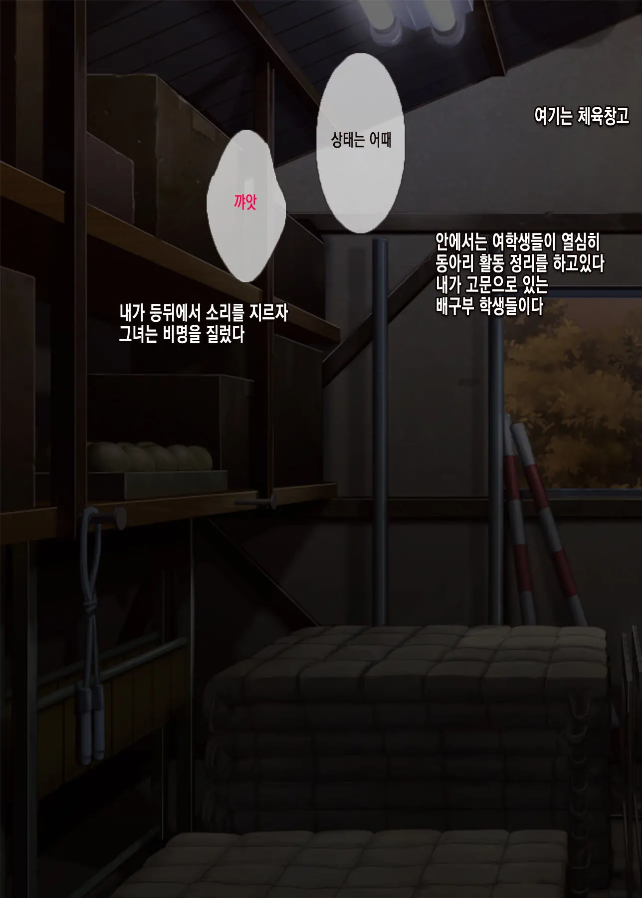 Onemuri Onaho Nakadashi Rape | 자고있는 여자아이를 질내사정 레이프